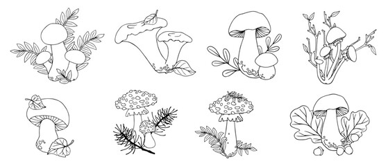 A set of linear sketches, coloring pages of forest mushrooms with leaves, grass. Vector graphics.