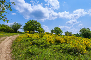 Hike on the Wisper Trail near Lorchhausen/Germany in the Rheingau