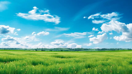 Fototapeta na wymiar green field and blue sky. Generative Ai. 