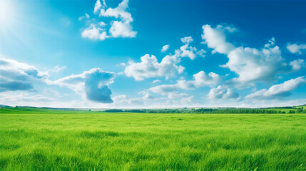 Fototapeta na wymiar grass and blue sky. Generative Ai. 
