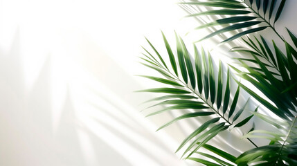 tropical plant on white wall background. Generative Ai. 