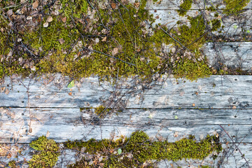 Wood Texture, Brown wooden background