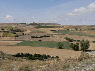 Fototapeta premium HERRERA DE VALDECAÑAS