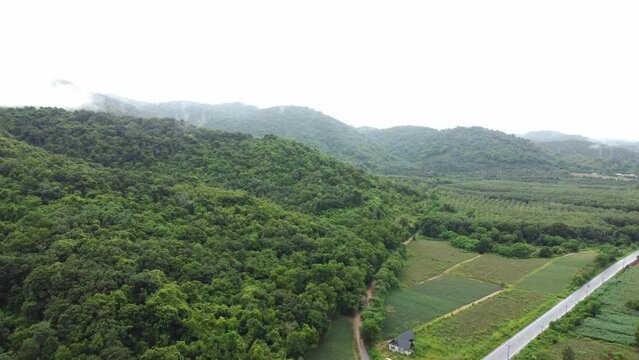 The main road in the countryside that borders the mountain ranges and rural agricultural areas. The beautiful nature of the tropical forest in Thailand. High angle shot taken from a drone. 4K Video