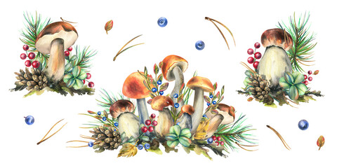 A set of forest mushrooms, boletus and blueberries, lingonberries, twigs, cones, leaves. Watercolor illustration, hand drawn. Isolated on a white background.