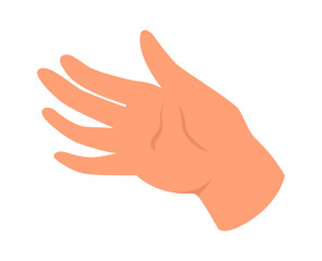 Human Hand Palm