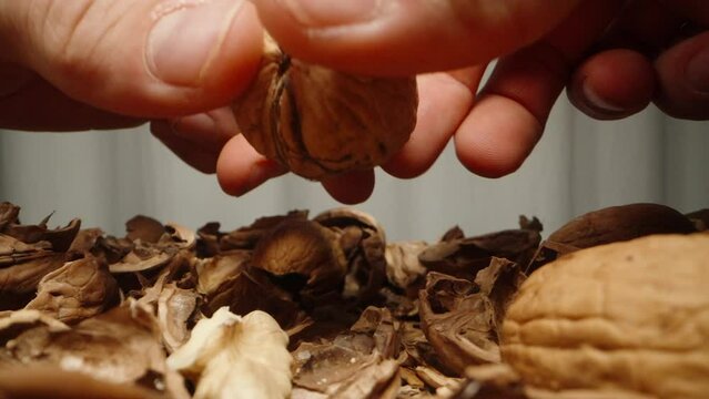 You take the walnut with both hands and split it in half. Slow motion, macro slider shot.