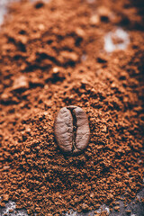 Fototapeta na wymiar Coffee bean on heap of ground coffee