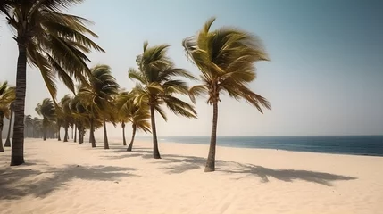 Foto op Plexiglas anti-reflex Palmy Trees Adorn a Sandy Beach, Creating an Oasis of Beauty and Tranquility © Ranya Art Studio
