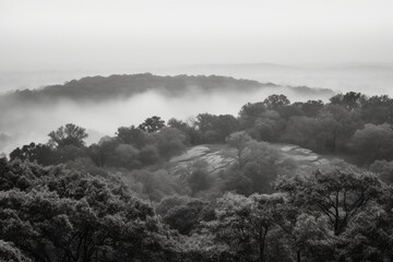 misty and serene forest in black and white. Generative AI