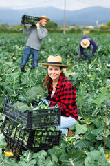 Portrait of young smiling woman working in field harvesting broccoli