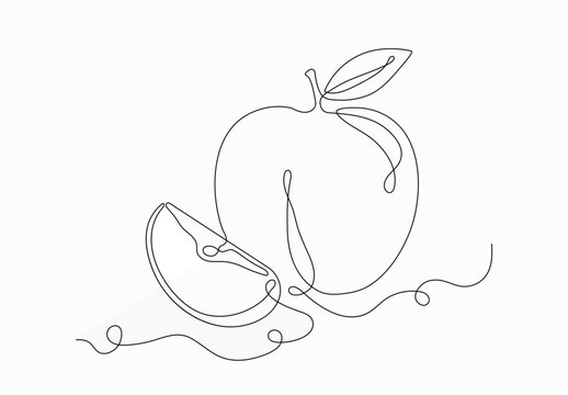 Fruit apple continious line vector