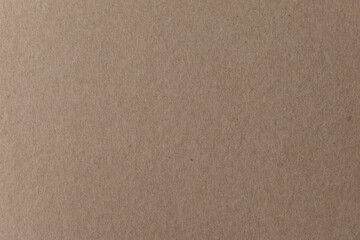 Kraft paper texture. Carton background. Blank sheet of brown kraft paper