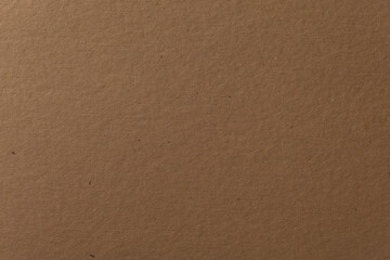 Kraft paper texture. Carton background. Blank sheet of brown kraft paper