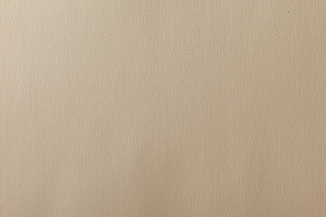 Fototapeta na wymiar Kraft paper texture. Carton background. Blank sheet of brown kraft paper