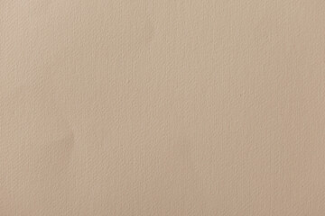 Kraft paper texture. Carton background. Blank sheet of brown kraft paper