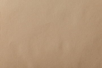 Kraft paper texture. Carton background. Blank sheet of brown kraft paper
