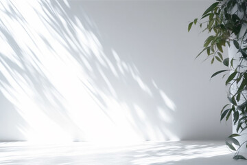 Fototapeta na wymiar White room with plant and leaf shadow, background, backdrop with plant leaves, AI generative 