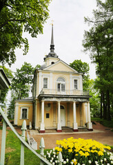 Znamenskaya Church with bright yellow flowers on a background of greenery, Pushkin, Russia. Sights...