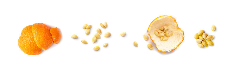 Mandarin Seeds Isolated, Tangerine Seed Pile, Fresh Citrus Grains, Lemon Seeds Isolated on White Top View