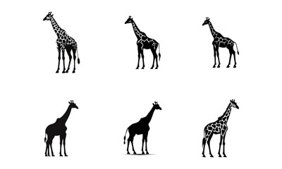 Set of giraffe icons in flat black color isolated on white background © Ruqqq