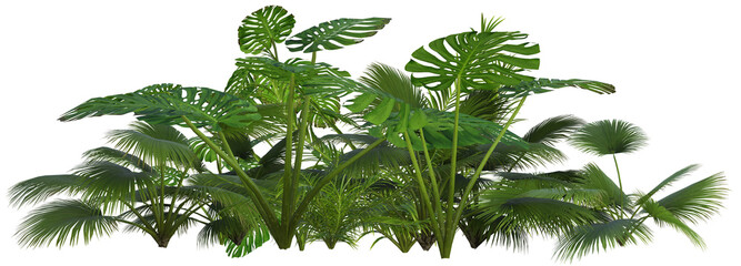 Arrangement of tropical plants image 1 of tropical series © Mike