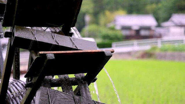 Closeup of historic wooden water wheel by green rice field in rural Japan