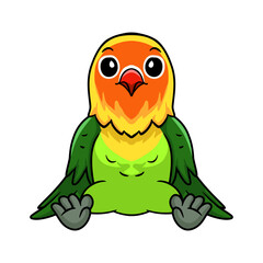 Cute fischer love bird cartoon sitting