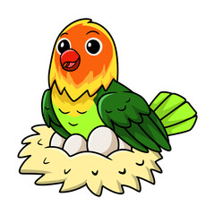 Cute fischer love bird cartoon with eggs in the nest