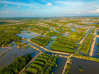 Aerial view of mangrove forest and shrimp farming, windmill farm, with high wind turbines for...