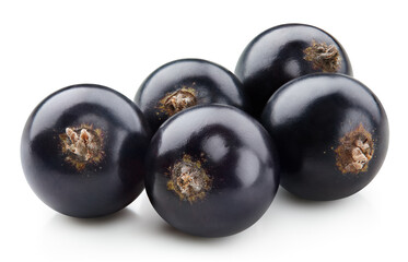 Black currant isolated