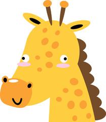 Giraffe . Foolish face of wildlife animals .