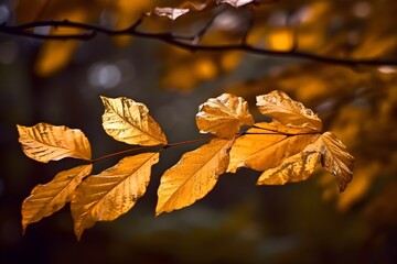 Closeup shot of beautiful golden leaves on a branch with. Generative AI