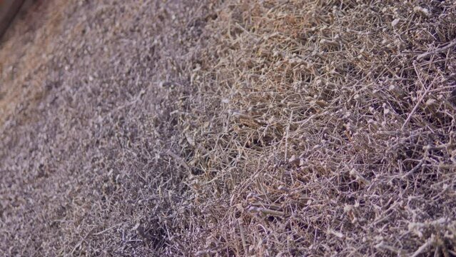 Upwards view of brine dripping down brushwood sides of graduation tower