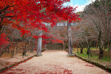 Fukuoka, Japan - Nov 30 2022: Homangu Kamado shrine located at Mt. Homan, venerated from ancient...