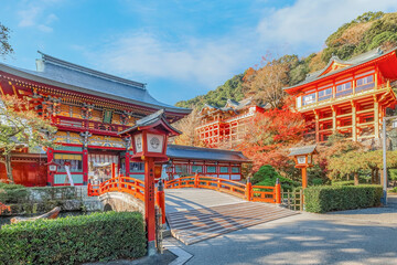 Saga, Japan - Nov 28 2022: Yutoku Inari shrine in Kashima City, Saga Prefecture. It's one of Japan's top three shrines dedicated to Inari alongside Fushimi Inari in Kyoto and Toyokawa Inari in Aichi - 613025034