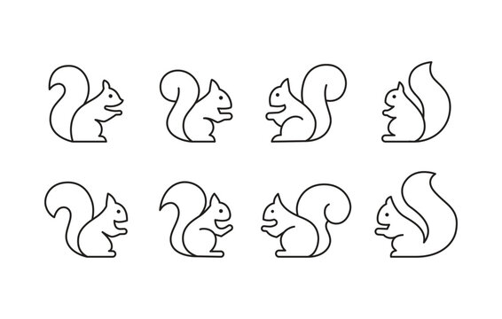 Squirrel icons set editable stroke line . Template design. Cute animal silhouette, vector design element. Vector. Nature concept.