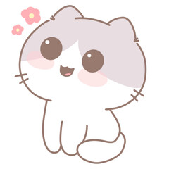 Baby Cat