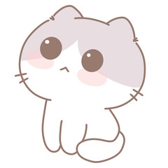 Baby Cat