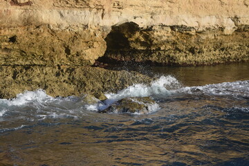 Little water waves near the sea