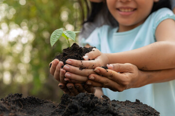 hands holding young plant with soil.World environment day and sustainable environment concept. Mom and her child girl plant sapling tree. Teamwork protecting and reduce global warming earth.