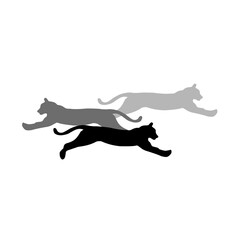 vector silhouettes of three tigers in different colors
