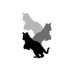 vector silhouettes of three tigers in different colors