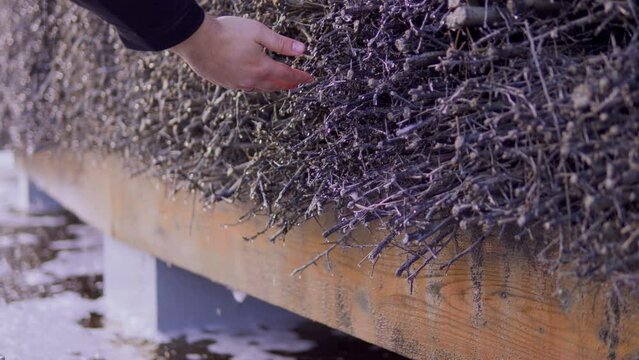Caucasian hand reaches out to touch brushwood of graduation tower
