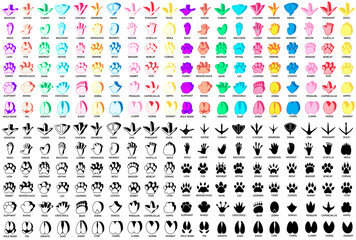 Big Set collection trendy paw print icon. Animal footprint symbol design template vector illustration © Javanism