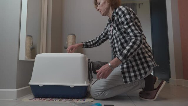Cat hygiene theme and pet litter box at home. A mature woman is working on a closed toilet with a gray Scottish straight cat. Owner cat installs hooded litter box with hinged door