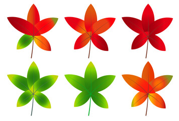 紅葉　もみじ　葉　アイコン