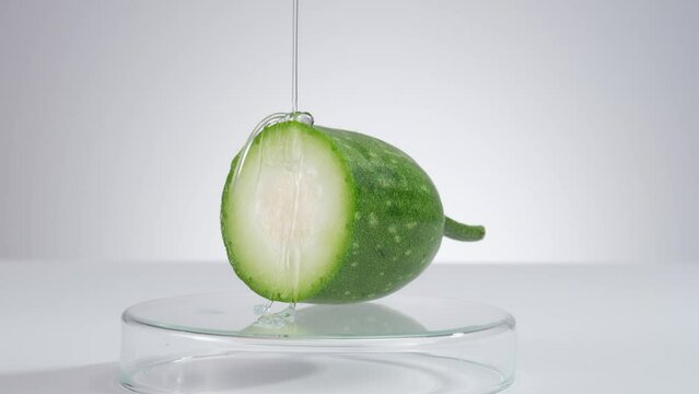 Transparent essence poured down a half of winter melon placed on the petri dish. Winter melon (Benincasa hispida) is a rich source of vitamin C and antioxidants