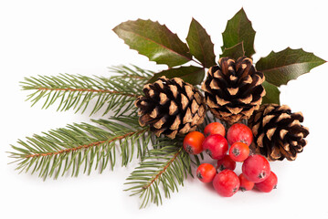 Christmas seasonal border of holly, mistletoe, sprigs with pine cones