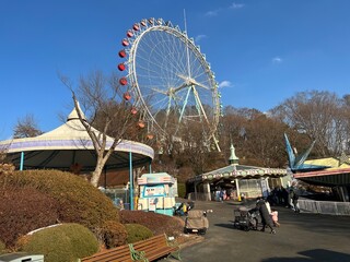 ferris wheel in the park